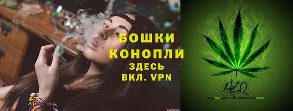 МДПВ Магас