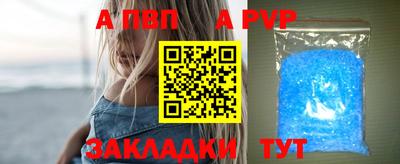 стафф Кингисепп