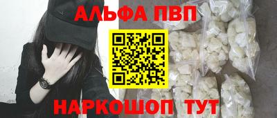 стафф Кингисепп