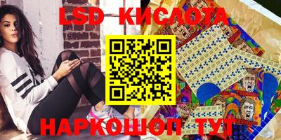 стафф Кингисепп
