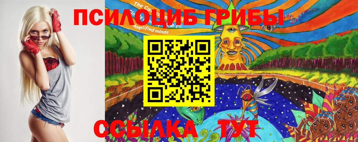 Галлюциногенные грибы Cubensis Феодосия