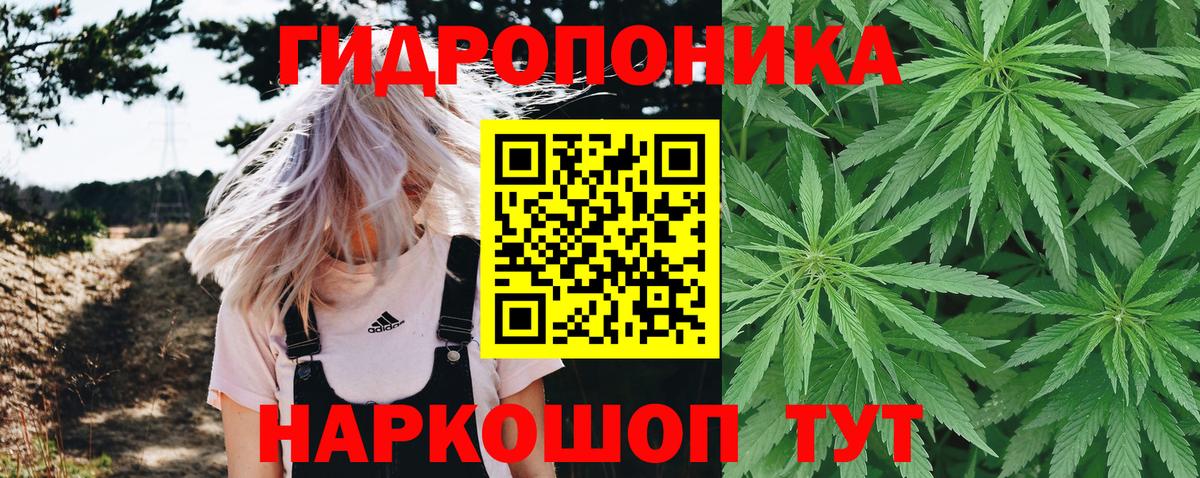 Канабис конопля  Шишки марихуана SATIVA & INDICA  Вход с VPN  Феодосия  Конопля VHQ 